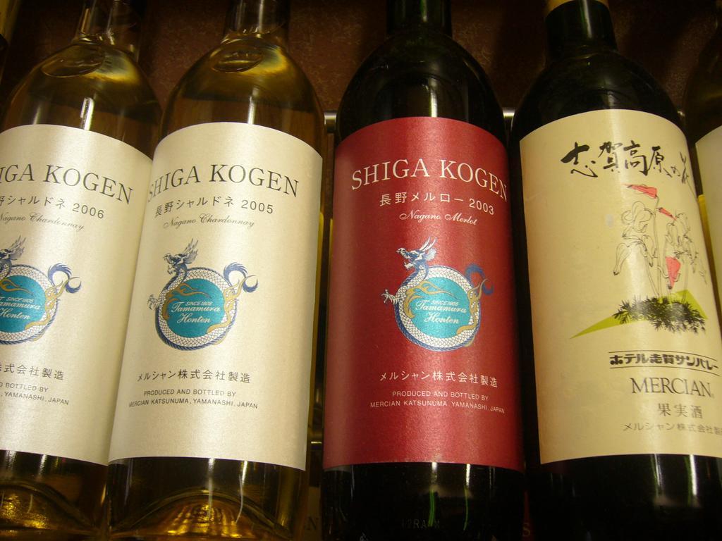Shiga Kogen Hotel Shiga Sunvalley Яманучи Екстериор снимка
