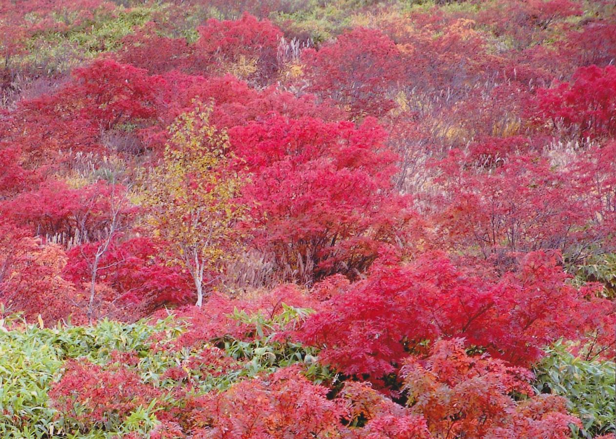 Shiga Kogen Hotel Shiga Sunvalley Яманучи Екстериор снимка